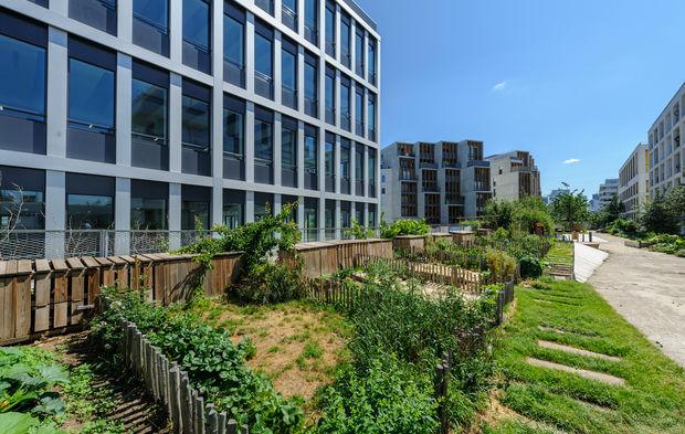 Bouygues Immobilier développe une "calculette" dédiée à la biodiversité