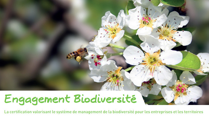 management biodiversité