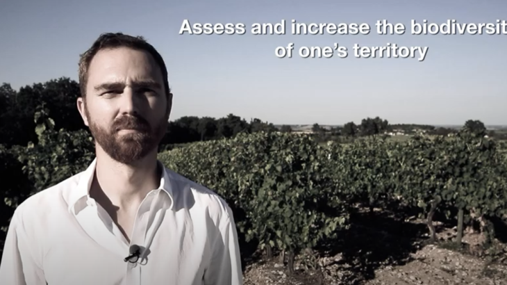 Biodiversity profile, Martell & Co company, Pernod Ricard group