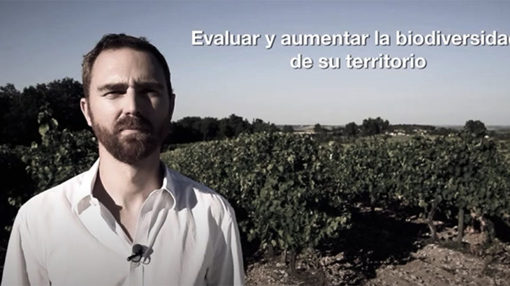 Profil biodiversité© Perfil biodiversidad Martell, filial del grupo Pernod Ricard