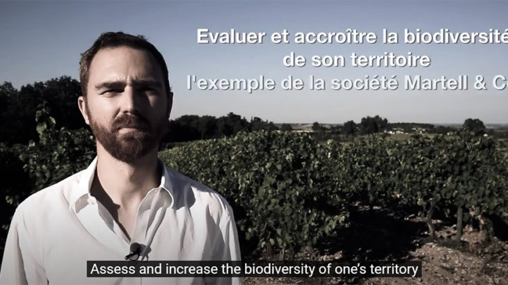 Profil biodiversité Martell and Co, filiale de Pernod-Ricard