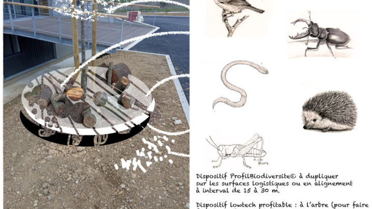 HYDROGEOTECHNIQUE- Profil Biodiversité